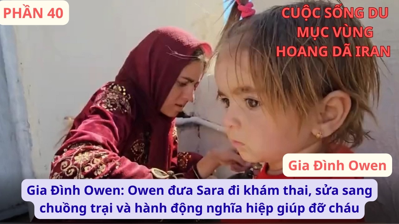 Gia Đình Owen: P40 Owen đưa Sara đi khám thai, sửa sang chuồng trại và hành động nghĩa hiệp