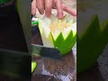#knifeskills  Craftsmanship #Vegetable Cutting Tips #Life Tips #Home style Cuisine #Gourmet#c345c