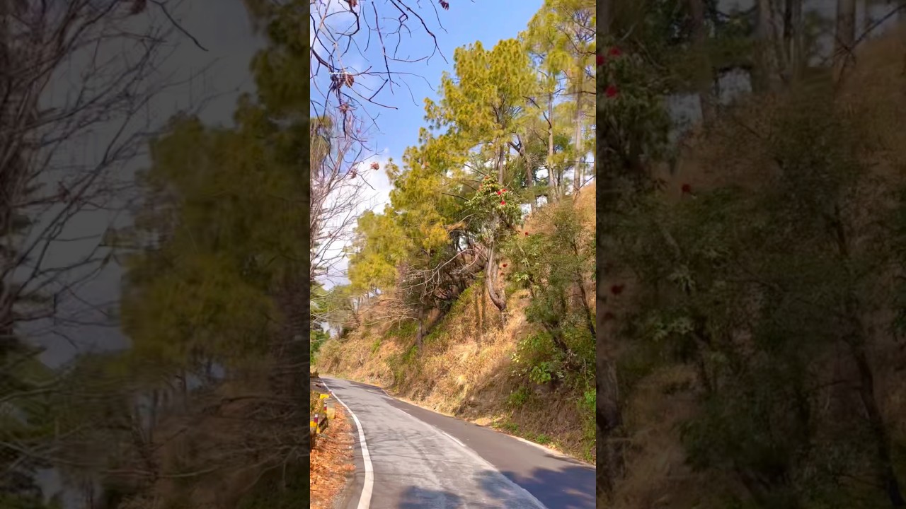 Uttarakhand this amazing view 