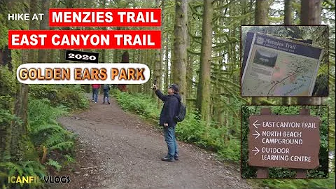 Menzies Trail - East Canyon Trail | Golden Ears Park