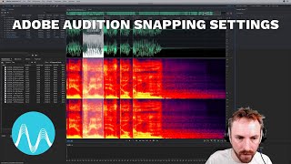 Adobe Audition Snapping Settings