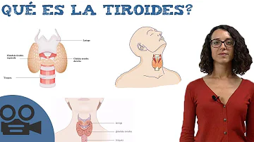 ¿Qué es la lengua tiroidea?