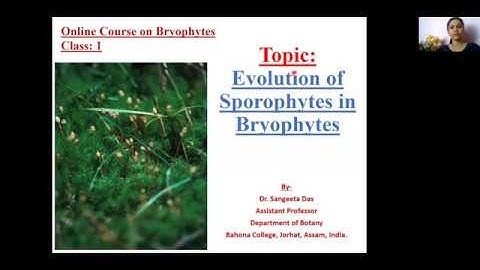 Evolution of Sporophytes in Bryophytes