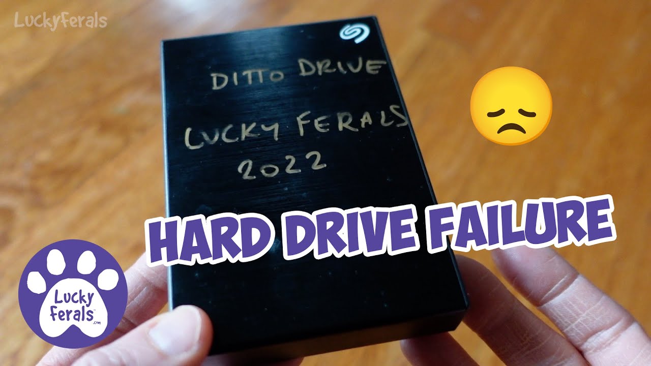 Seagate External Hard Drive Not Working 5TB Disk Failure YouTube