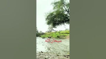 #القارئ_محمد_الفقيه #أجمل_تلاوة #اكسبلور #المصحف #دويتو #القارئ_أبو_أحمد_القيفي #تيك_توك