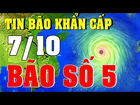 Video Dự báo thời tiết hôm nay và ngày mai 7/10/2022 | Dự... - youtube