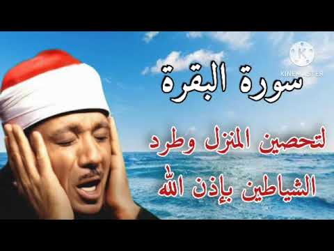 سورة البقرةسورة البقرة رقية للبيت وعلاج للسحر الشيخ عبدالباسط عبدالصمد    القرآن