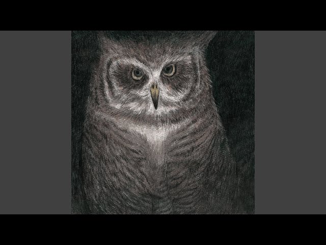 小沢健二とSEKAI NO OWARI - I Hear an Owl