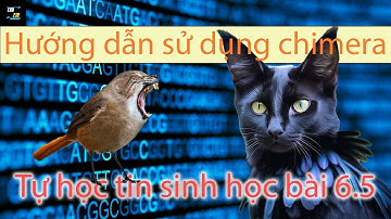 Tự học tin sinh học | Bài 6.5: Hướng dẫn sử dụng Chimera quan sát cấu trúc protein | thực hành rồi!!