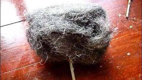 how to make a tree for model railways ect