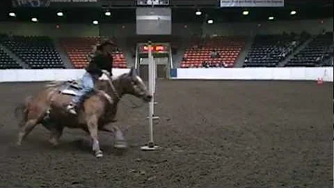 19.2 Janice Wagner 2008 Quarter Horse Congress.mpg