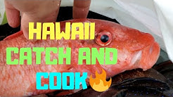 Download Fish And Dive Hawaii Youtube