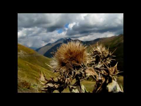 კატერინა პლანკოვსკა - \'მეც ჩავეხვევი უფსკრულის ნისლთა\'