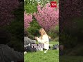 Метеозалежним приготуватися в найближчі дні очікуються магнітні бурі 