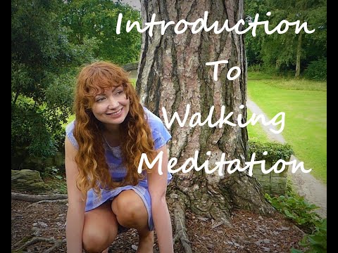 Walking Meditation For Beginners// Peaceful Forest Walk// Calm Your Mind