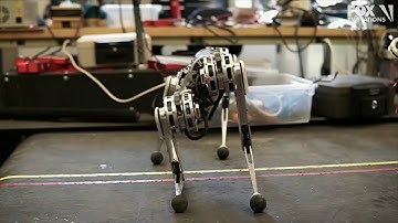 MIT Introduces Backflipping robot