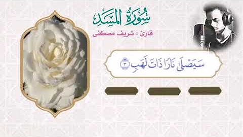 سورة المسد شريف مصطفى