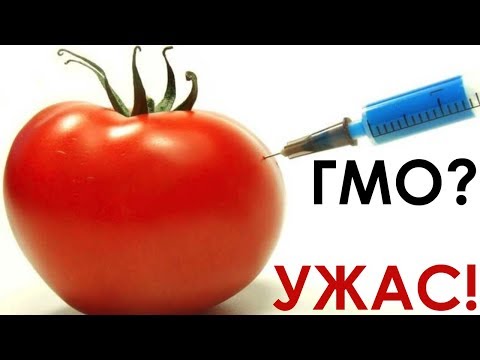 Видео: Истината за убийствените домати - Алтернативен изглед