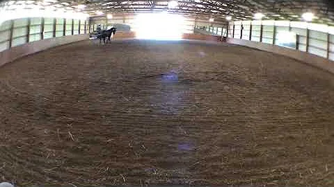 April 2019- Dale and Royal- Robin Groves Lesson