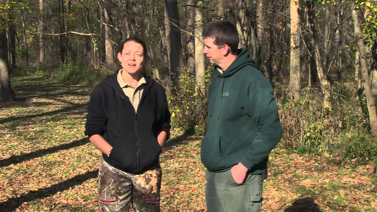 Deer Tips 6 Etiquette Indiana DNR YouTube