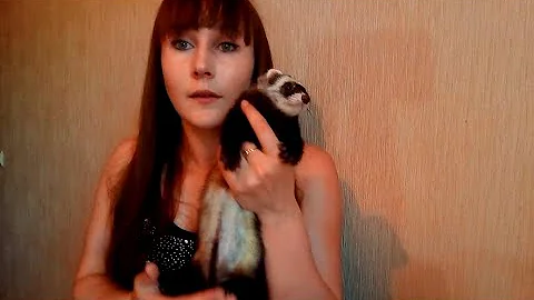 Затраты на содержание хорька!