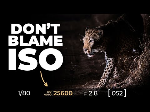 How To Take Sharper Photos in Low Light