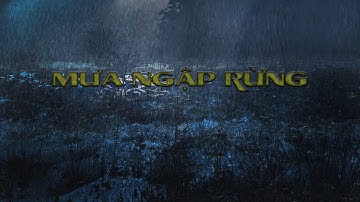 Tiếng Mưa Đêm, Cơn mưa lớn ngập rừng thành sông, Mưa rừng nhiệt đới, Rain Sounds Relaxing Rain Sleep
