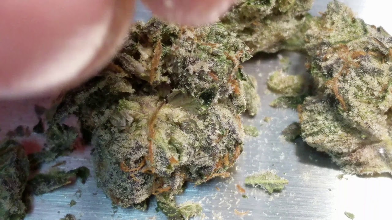 Ontario Cannabis Store - Pink Kush - By Canna Farms - 4K Close Up - Canadian History