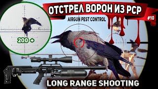 Отстрел Ворон с пневматики № 10. FX Impact M3 Airgun Pest Control. Crow Hunting 2024. Jack Hunter.