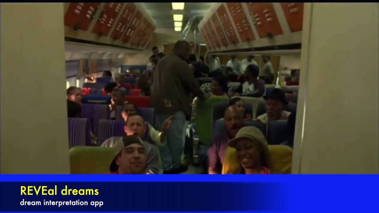 SOUL PLANE - racial profile