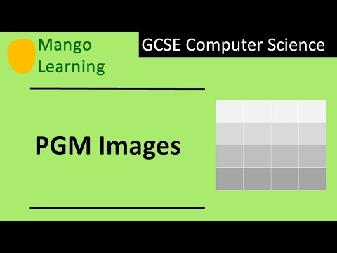 PGM Images