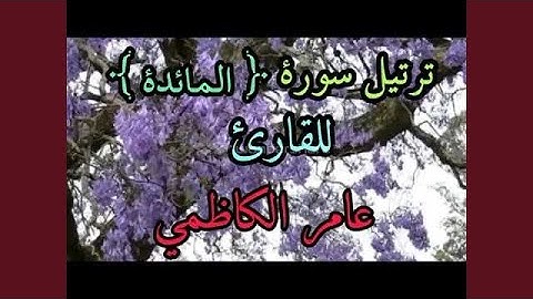 عامر الكاظمي سورة المائدة