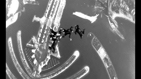 3rd DIPC&GC 2011, FS 4-way Open, Hungary, MBSA-AIR, Rd. 2