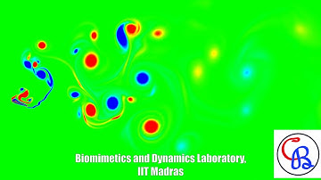Chaotic Flow Past a Flapping Airfoil