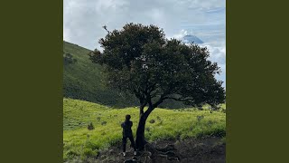 Diatas awan kita menang (Live)