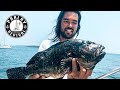 LIVING FROM THE OCEAN on a REMOTE ISLAND in TROPICAL PARADISE | Corona chronicles| Part 7