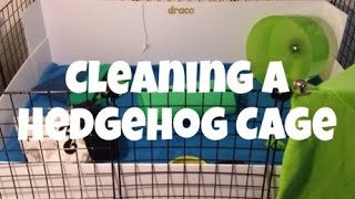 Cleaning a Hedgehog Cage (2014)