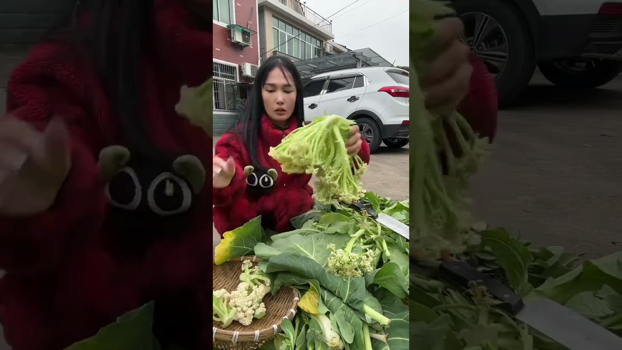 ឆារគ្រំ. ុអោយឪក្មេកហូបម្តង😆😆👍