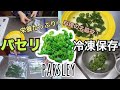 【冷凍保存方法】パセリの冷凍保存！みじん切りも簡単に！鉄分やビタミンなど栄養たっぷり　ストックしておけばいつでも便利