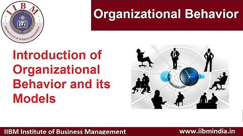 IIBM Institute | Organizational Behavior | Introduction of Organizational Behavior and its Models