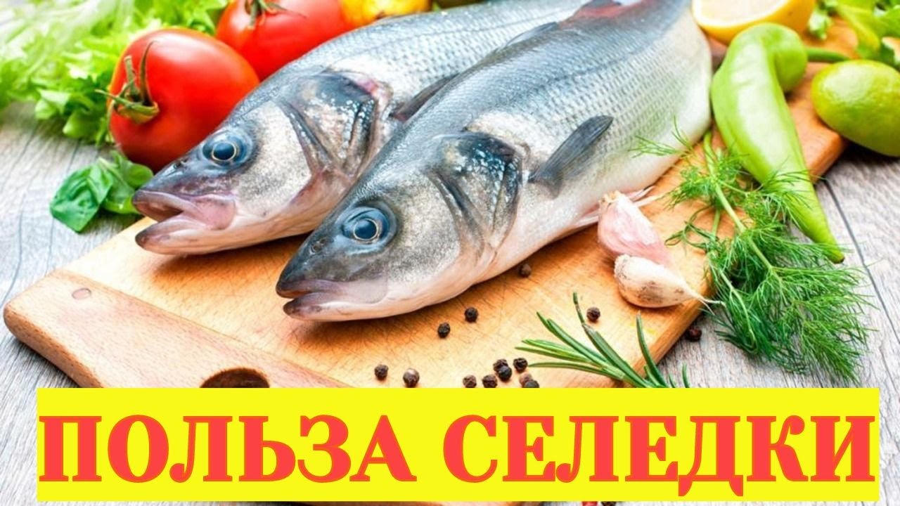 Польза селедки для организма