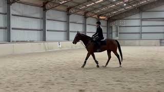 IMG 4898