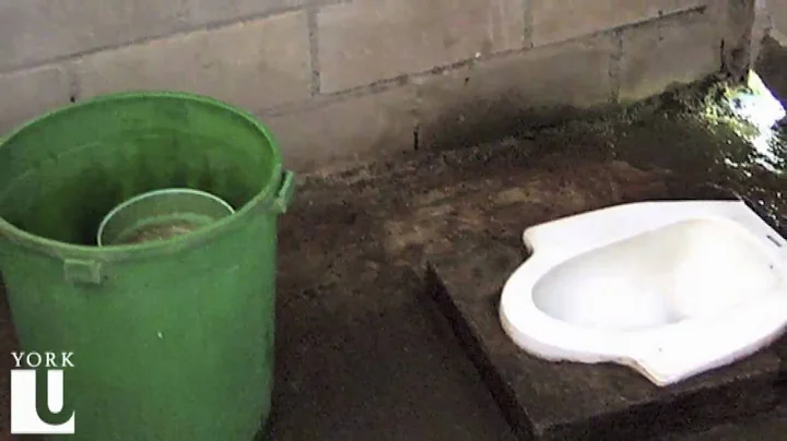 Bathrooms Around the World: History, Myths and Qui...