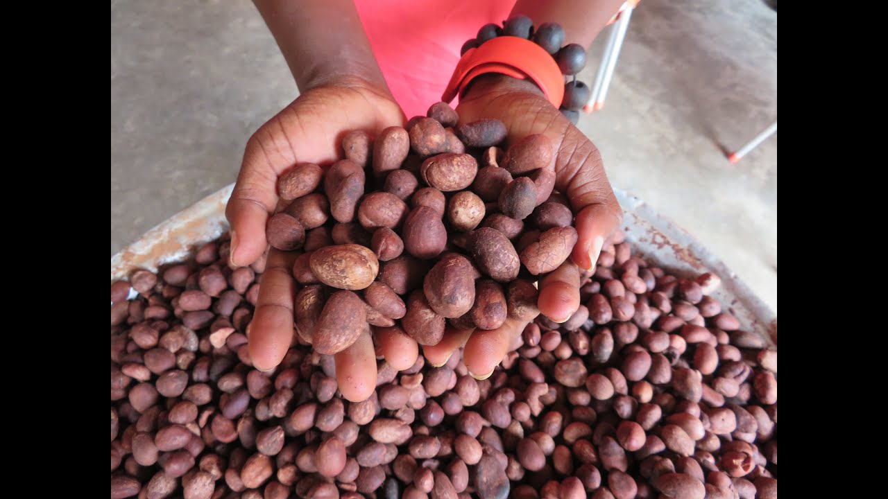 shea-butter-and-sustainability-a-special-earth-day-message-from-bambu