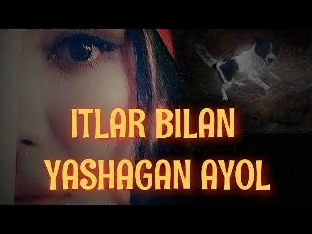 Uyda jojalar porno video