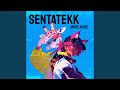 SENTATEKK Ultra Slowed