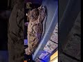The mummy of an Egyptian man named Osib Oumfen Vero #ancientegypt #history#shorts #short #mummy
