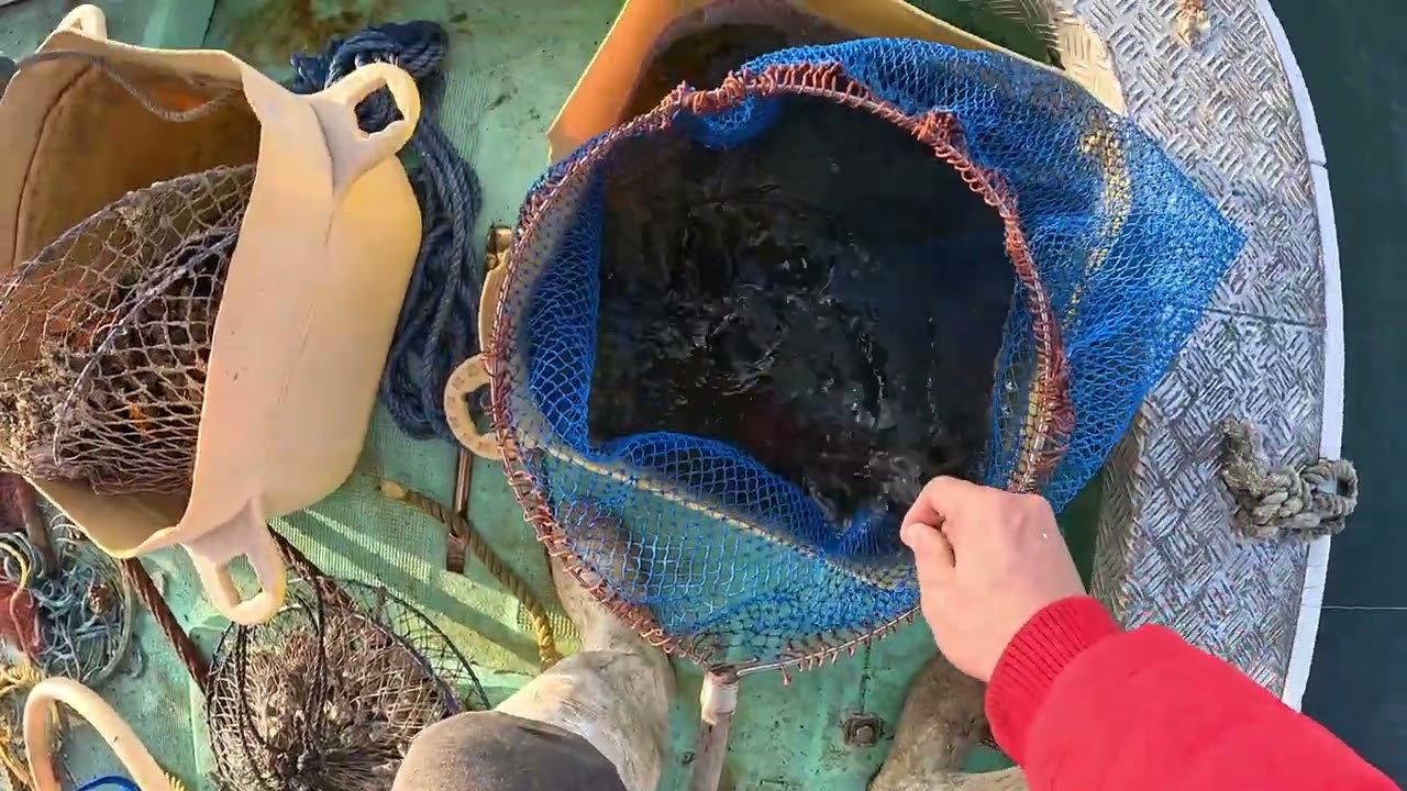 牡蠣筏で釣り日記#19