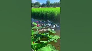#قران_كريم #قرآن #سورة #المنشاوي سورة غافر #القرآن_الكريم القرآن الكريم تلاوة قصيرة