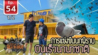 การแข่งขันนกพิราบบินเร็วนานาชาติ - เพื่อนรักสัตว์เอ้ย EP 54 [1/2]